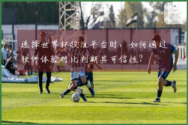 选择世界杯投注平台时，如何通过软件体验对比判断其可信性？