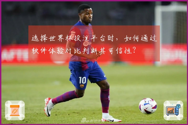 选择世界杯投注平台时，如何通过软件体验对比判断其可信性？
