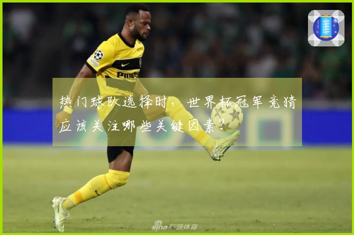 热门球队选择时，世界杯冠军竞猜应该关注哪些关键因素？