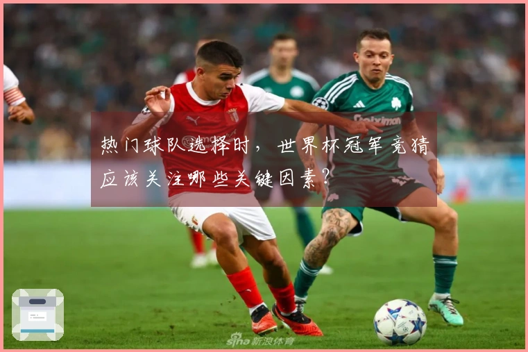 热门球队选择时，世界杯冠军竞猜应该关注哪些关键因素？