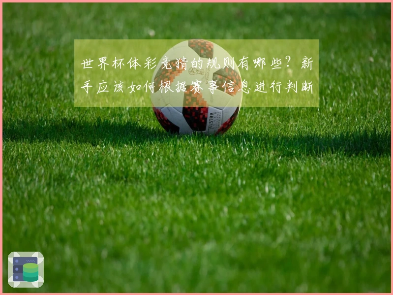 世界杯体彩竞猜的规则有哪些？新手应该如何根据赛事信息进行判断？