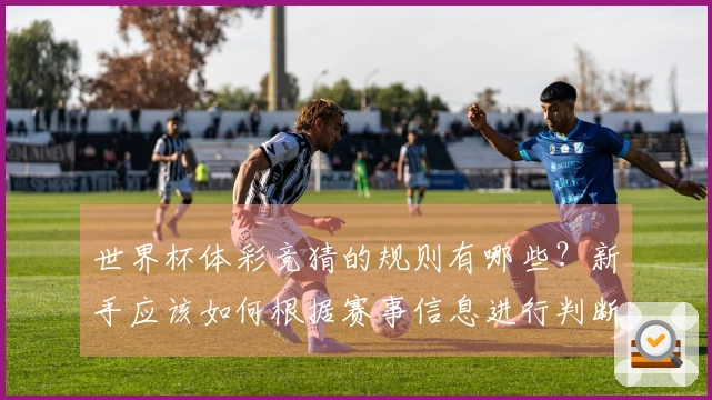 世界杯体彩竞猜的规则有哪些？新手应该如何根据赛事信息进行判断？