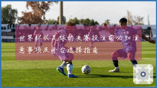 世界杯买足球的决赛投注前必知注意事项及平台选择指南